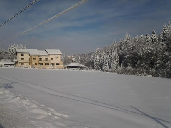 Pensiunea Diva Cacica Exterior photo